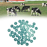 50PCS Numbered Label Numbered Tag for Farm Livestock Beekeeping Husbandry Breeding Supplies51-100 Green - Extra Image