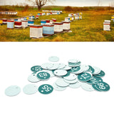 50PCS Numbered Label Numbered Tag for Farm Livestock Beekeeping Husbandry Breeding Supplies51-100 Green