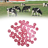 50PCS Numbered Label Numbered Tag for Farm Livestock Beekeeping Husbandry Breeding Supplies51-100 Red