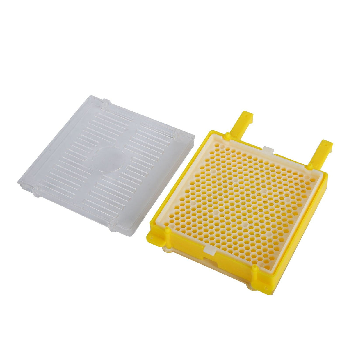 Apiculture System Kit Queen Bee Rearing System Box Beekeeping Box Rearing Grafting Kit