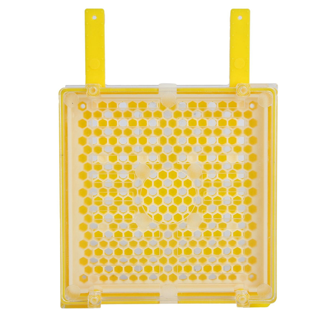 Apiculture System Kit Queen Bee Rearing System Box Beekeeping Box Rearing Grafting Kit