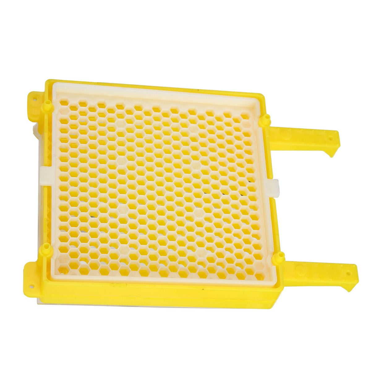 Apiculture System Kit Queen Bee Rearing System Box Beekeeping Box Rearing Grafting Kit
