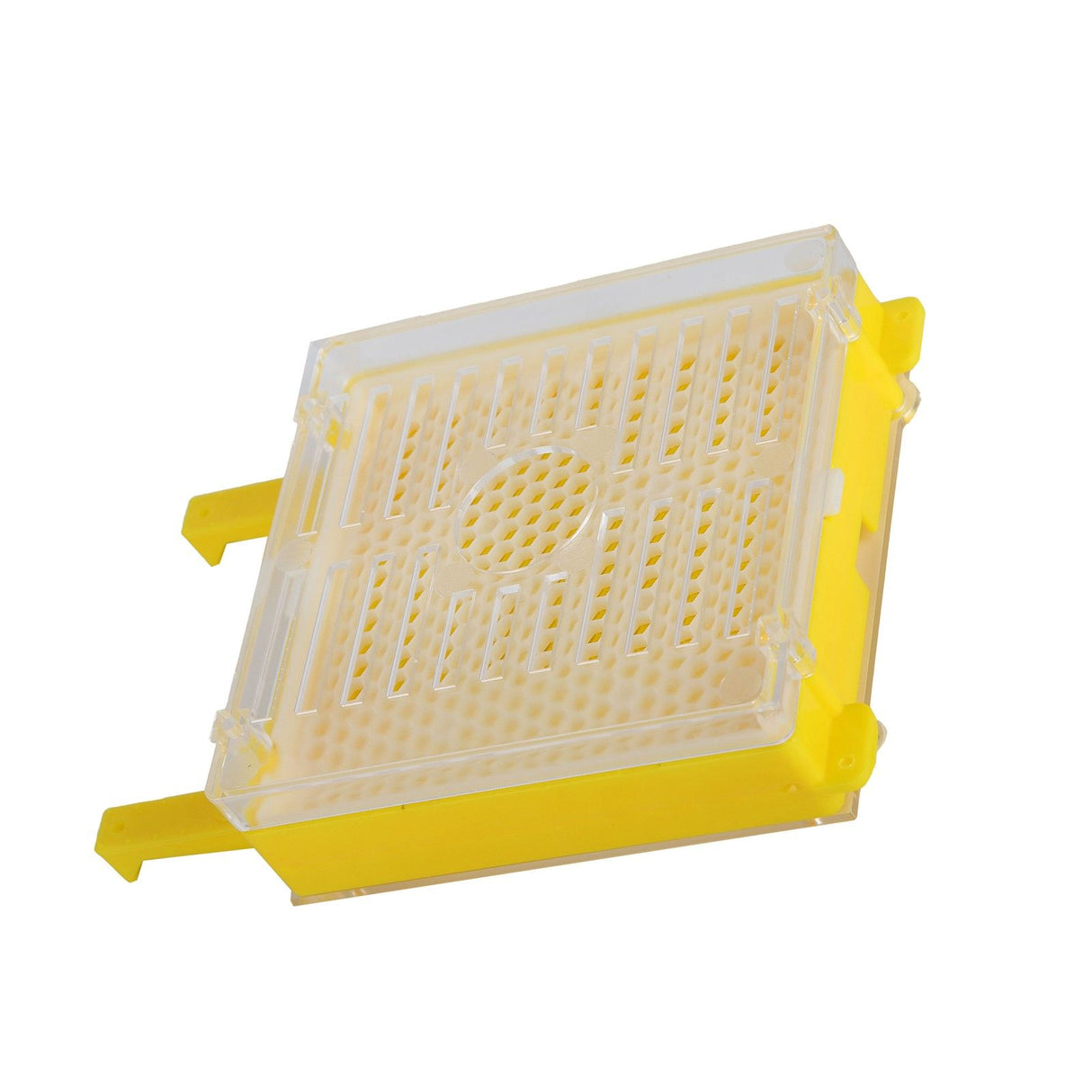 Apiculture System Kit Queen Bee Rearing System Box Beekeeping Box Rearing Grafting Kit