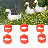 100PCS/Bag Poultry Leg Bands ClipOn Foot Rings with 01100 Numbers for Chicken Duck Goose Supplies