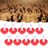 10Pcs Chick Water Drinker Bowl Plastic Poultry Farm Drinking Cups Watering System Supplies