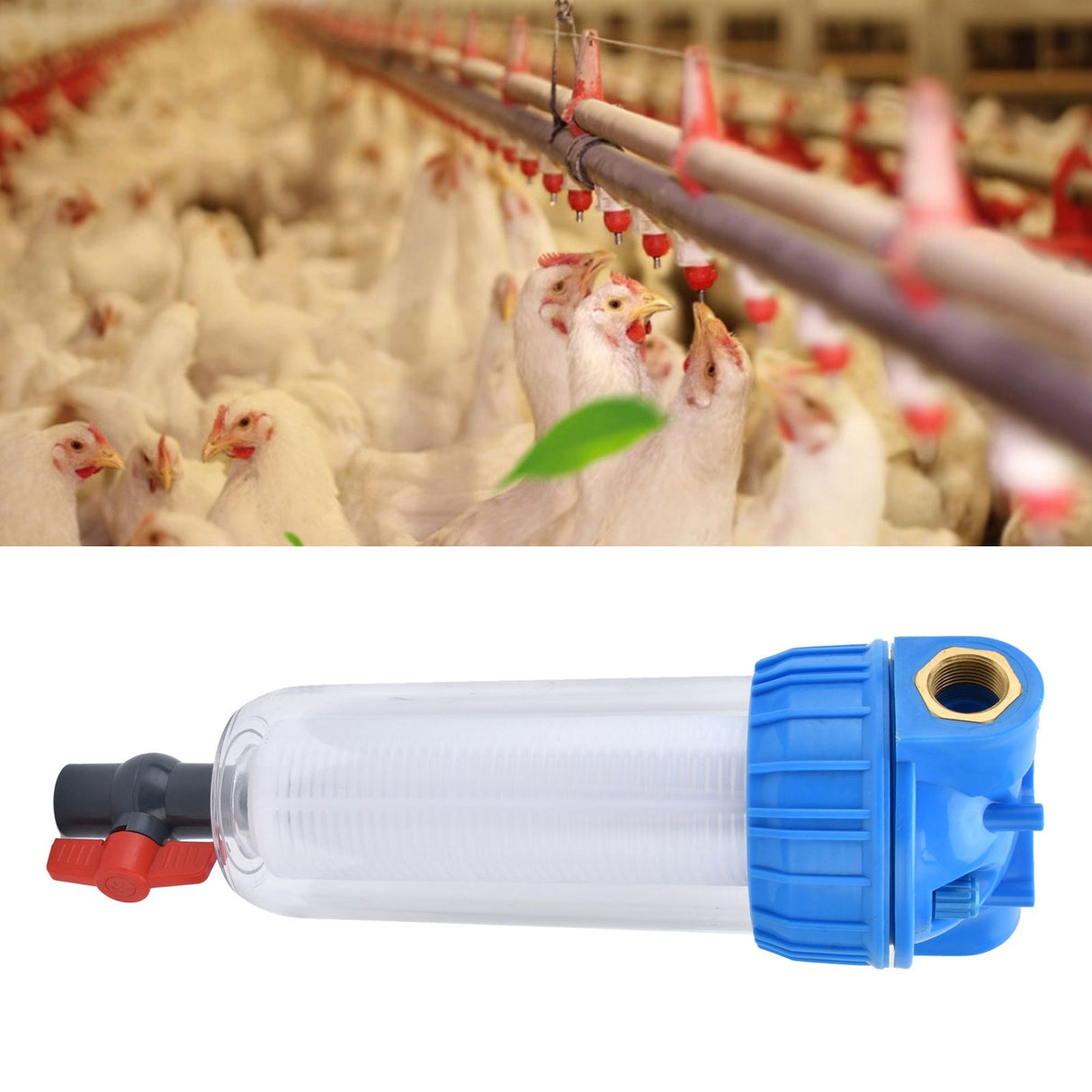 Poultry Water Filter ABS Automatic Poultry Drinking Water Filter Water Leak Proof for Chicken Ducks