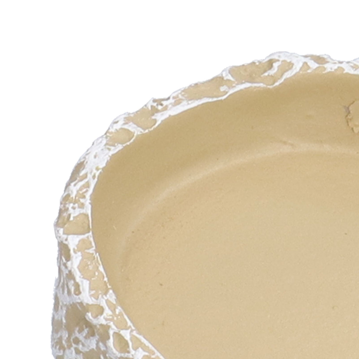 Reptile Food Water Bowl Resin Pets Feeding Plate Dish for Aquarium Tortoises Turtles Lizards Yellow