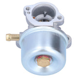 Carburetor Air Filter Fuel Pipe Spark Plug Set for 694202 693909 692648 499617 498170 497586 498254 497314 497347 497410 - Low Angle