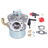 Carburetor Fuel Filter Set for 696981 698860 694508 795069 698859 790180 790290 693865 697354 698474 791991