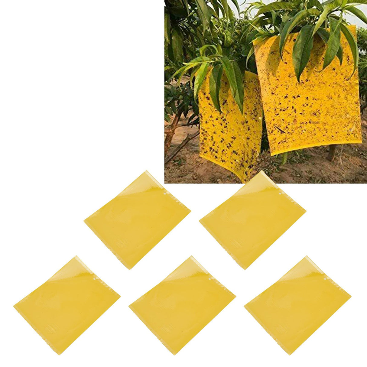 20Pcs 20x15cm Insect Trap Non Toxic Efficient PVC Yellow Fly Trap for Greenhouse Garden
