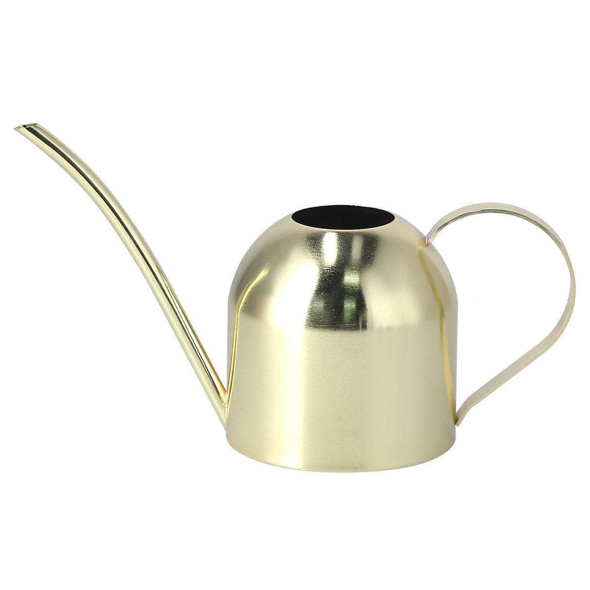 1000ML Watering Can Indoor Vintage Stainless Steel Succulent Flowers Plants Watering Kettle Pot Gold