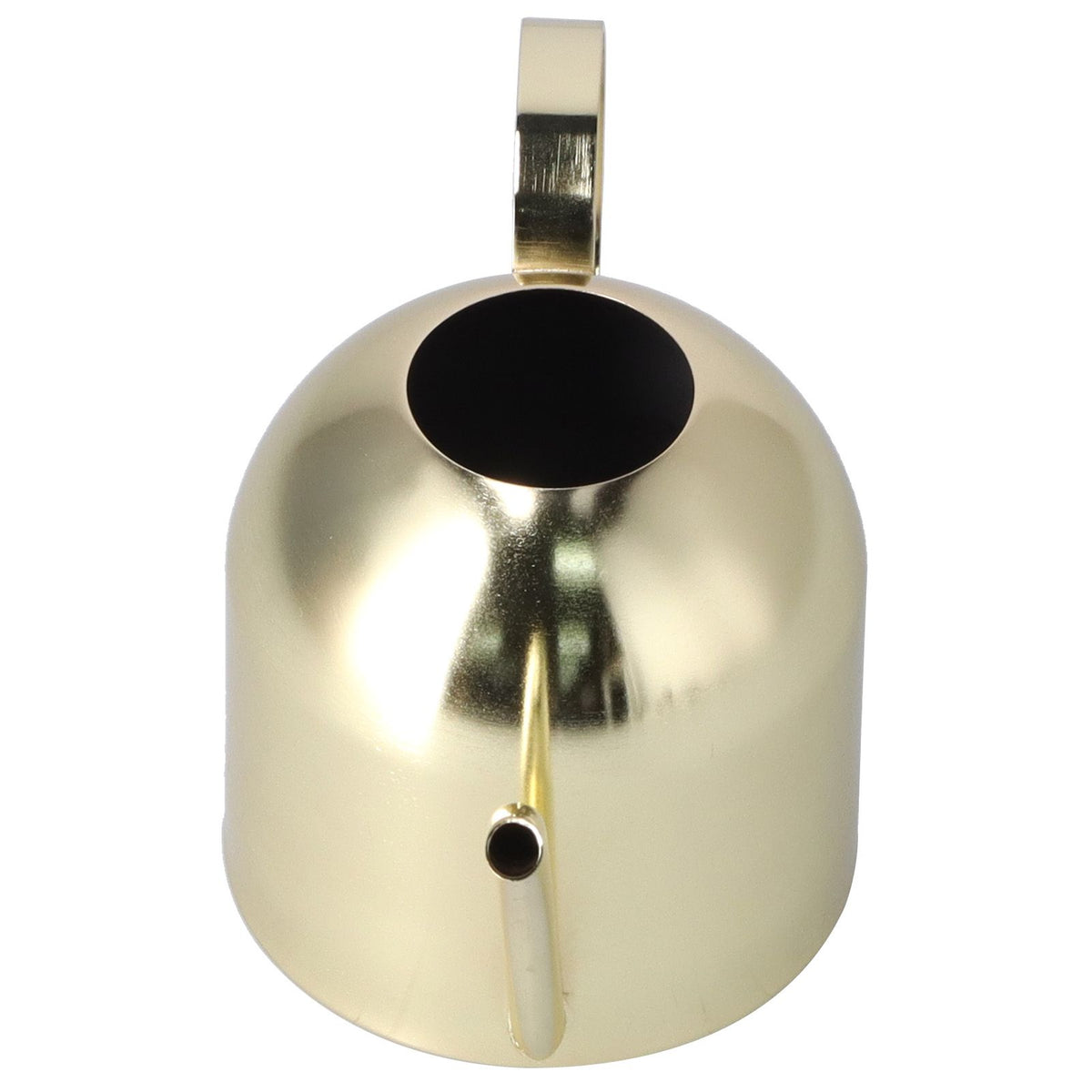 1000ML Watering Can Indoor Vintage Stainless Steel Succulent Flowers Plants Watering Kettle Pot Gold