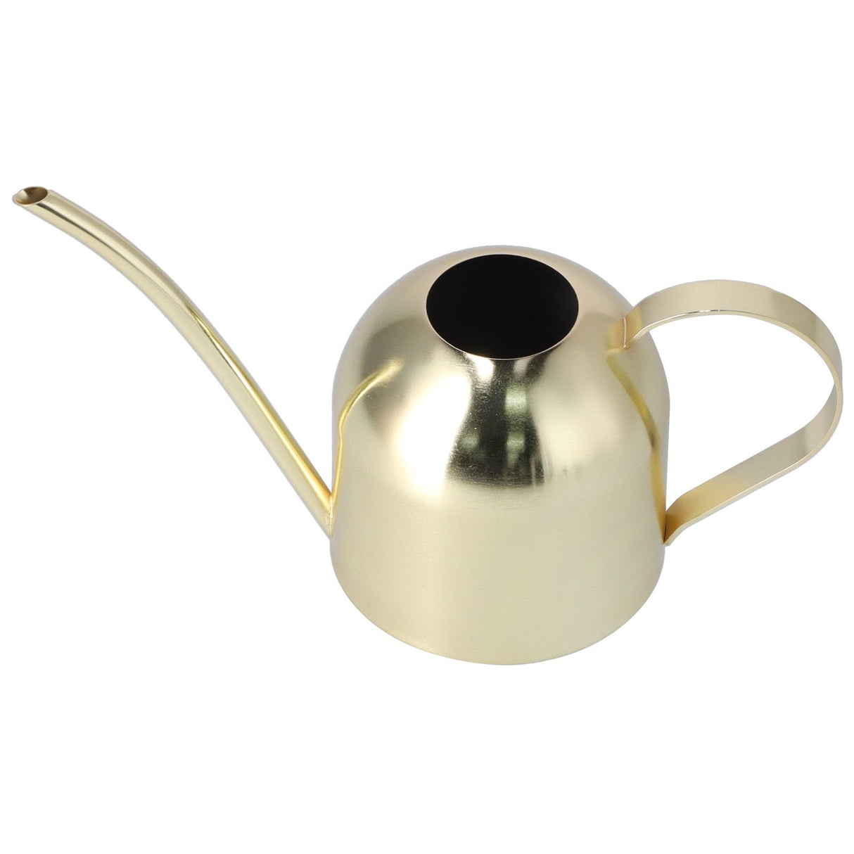 1000ML Watering Can Indoor Vintage Stainless Steel Succulent Flowers Plants Watering Kettle Pot Gold