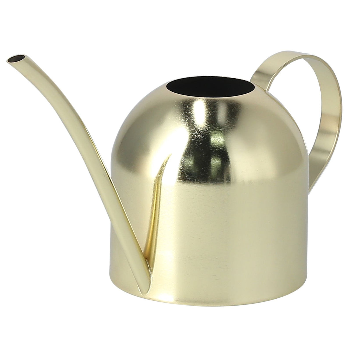 1000ML Watering Can Indoor Vintage Stainless Steel Succulent Flowers Plants Watering Kettle Pot Gold