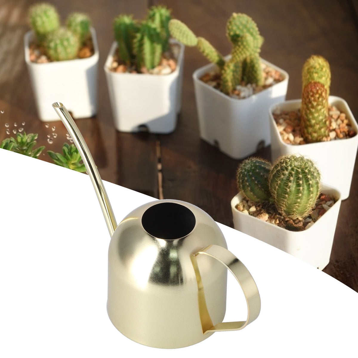 1000ML Watering Can Indoor Vintage Stainless Steel Succulent Flowers Plants Watering Kettle Pot Gold