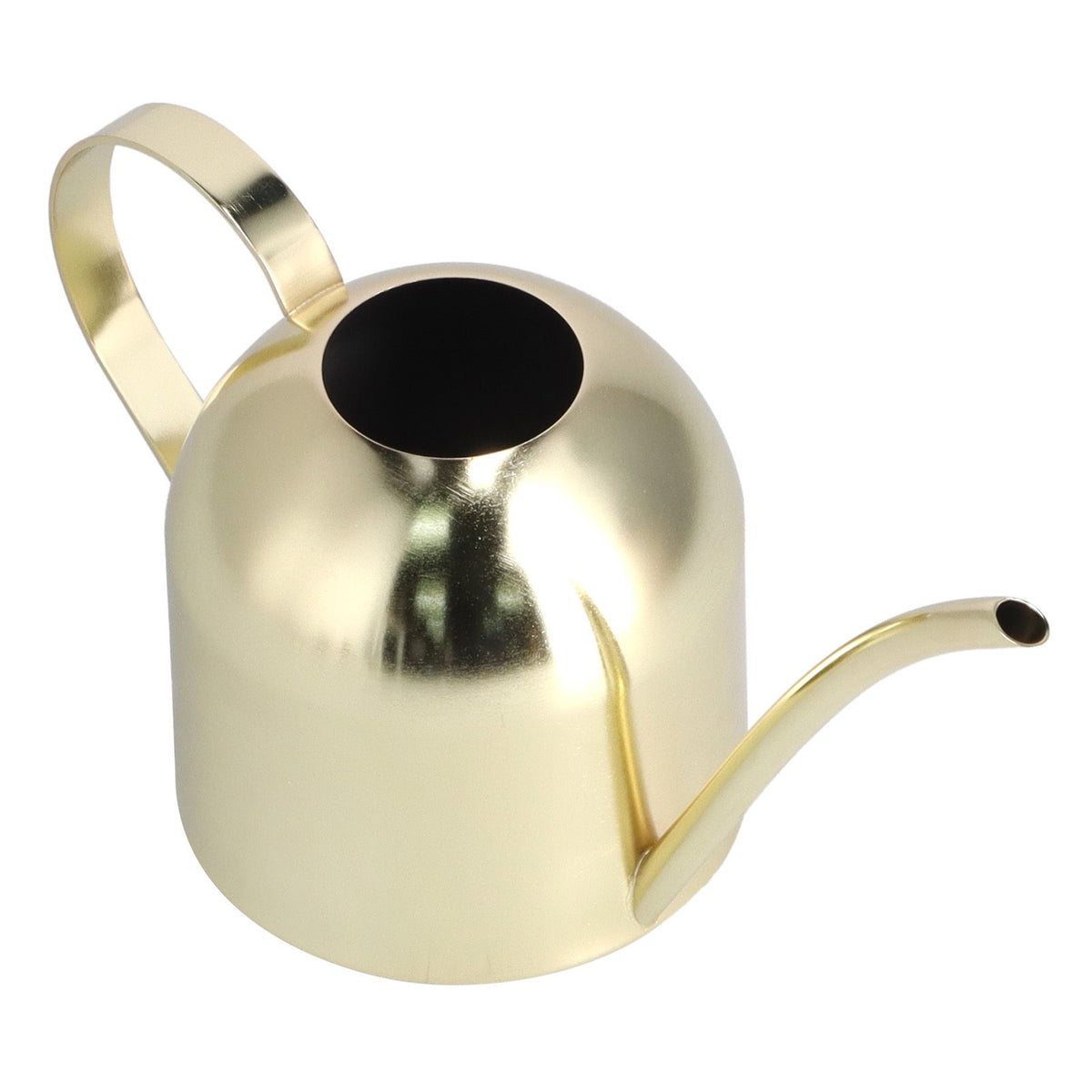 1000ML Watering Can Indoor Vintage Stainless Steel Succulent Flowers Plants Watering Kettle Pot Gold