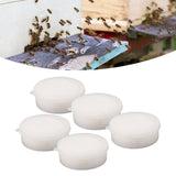 5 PCS Formic Acid Dispenser Easy To Use High Efficient Professional Formic Acid Evaporator for Beekeeping