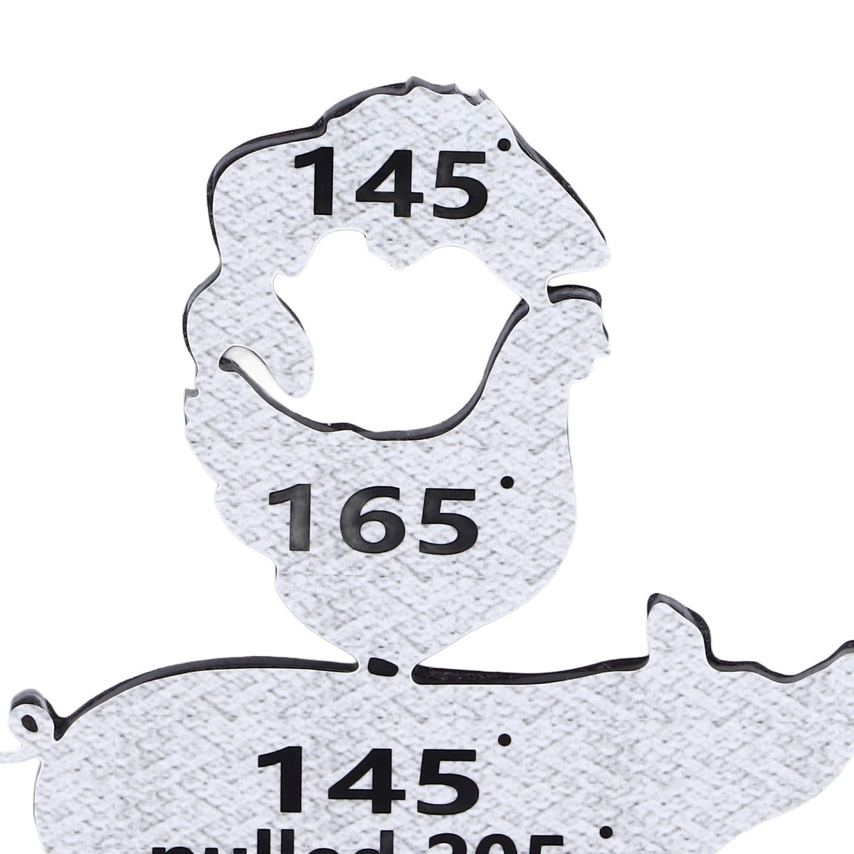 Meat Temperature Magnet Animal Internal Temperature Guide Acrylic Beef Pork Chicken Fish Grill Accessory for BBQ Cooking