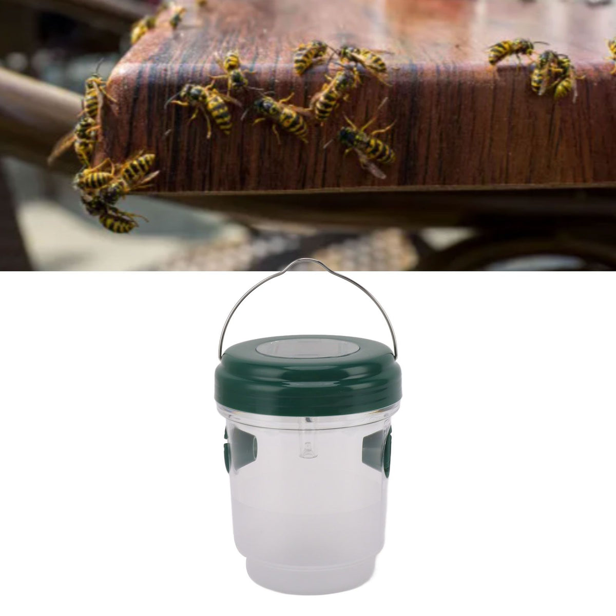 Wasp Catcher LED Solar Powered Waterproof Hornet Traps for Wasp Fruit Fly Garden Terrace Farmland Green