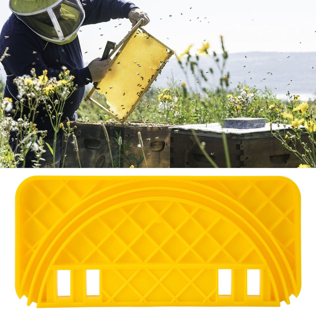 Uncapping Tank Holder Flat Honey Shelf Plastic Scraper Versatile Beehive Tool for Hive Cleaning Home Farm