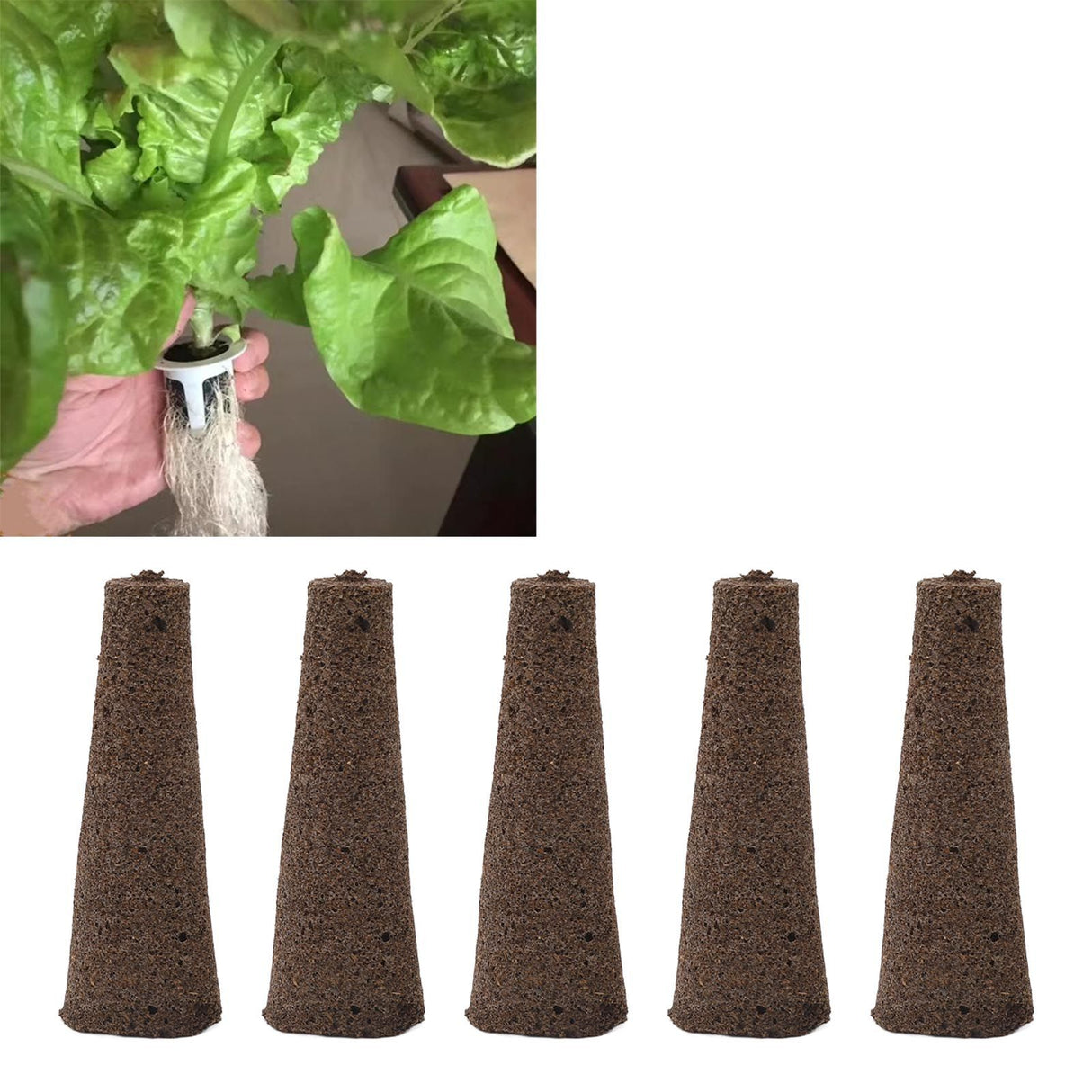 50 Pcs Seedling Block Peat Planting Block for Gardening Hydroponics Soilless Cultivation Plants Germination HRD TN0524