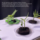 50 Pcs Seedling Block Peat Planting Block for Gardening Hydroponics Soilless Cultivation Plants Germination HRD TN0524