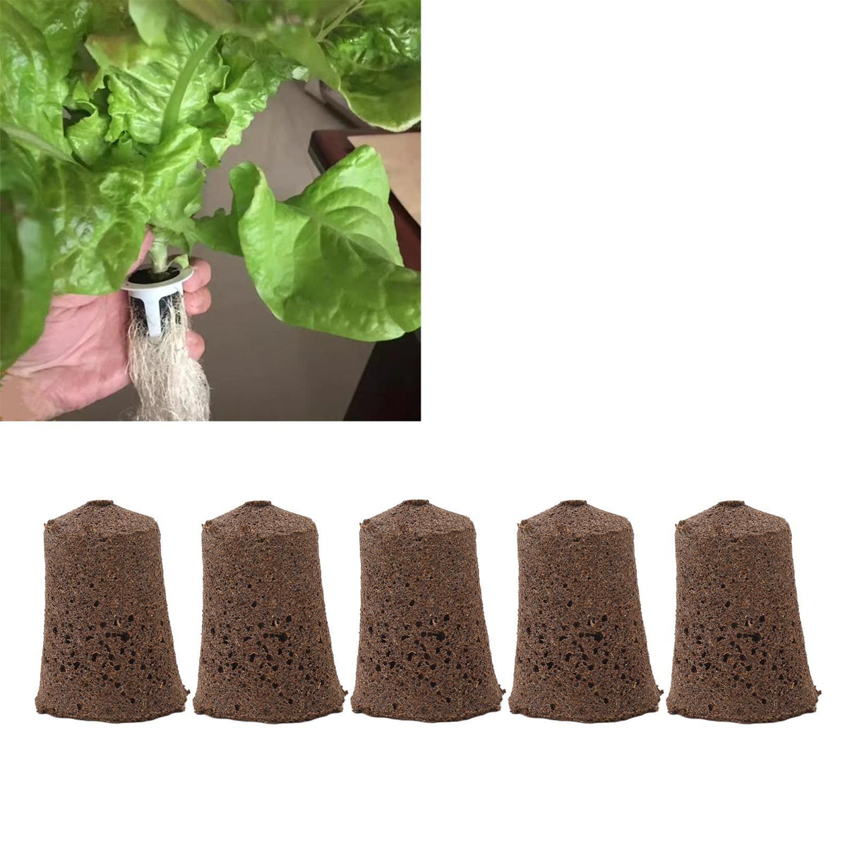 50 Pcs Seedling Block Peat Planting Block for Gardening Hydroponics Soilless Cultivation Plants Germination HRD TN0719