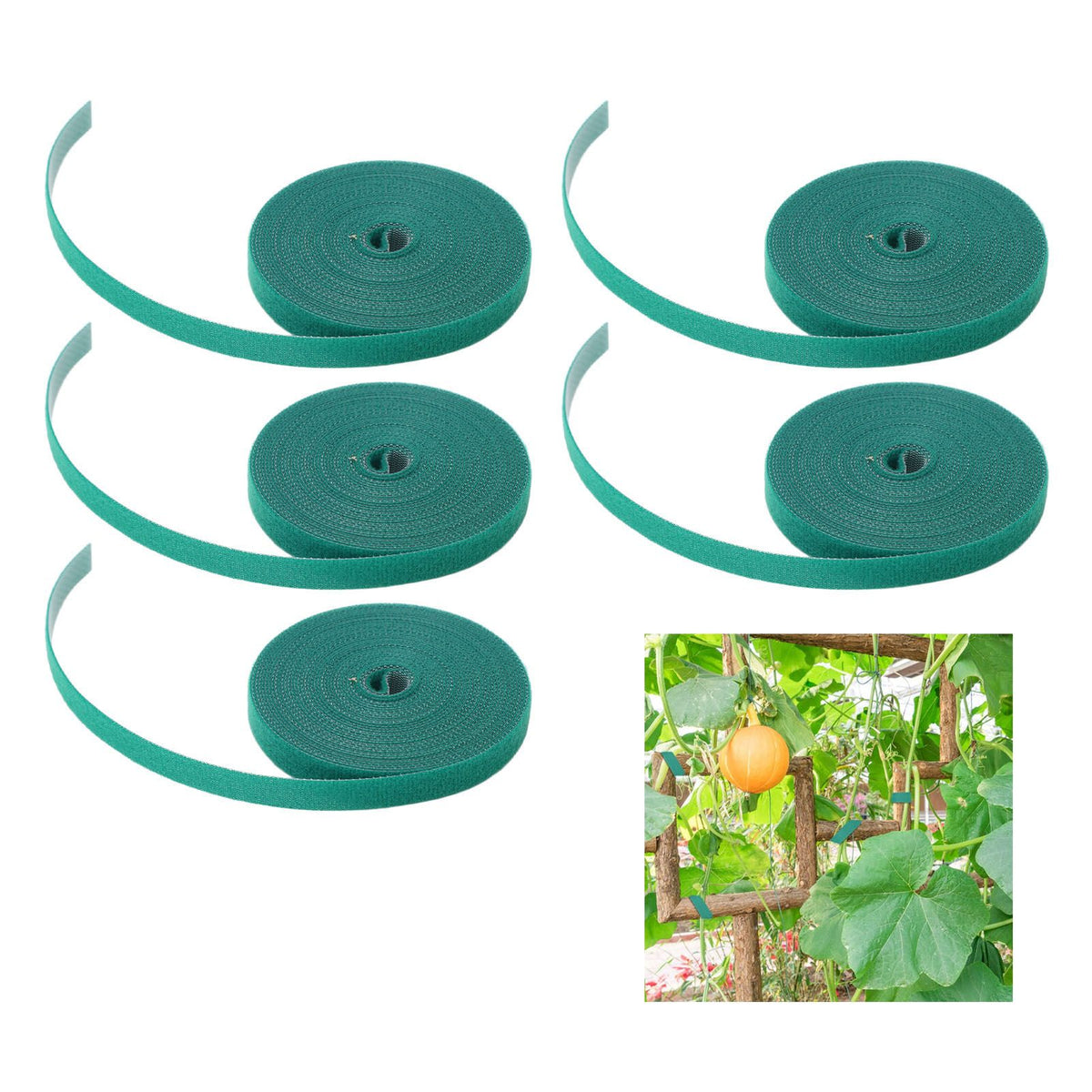 5 Rolls Plant Tie Reusable Cuttable Self Adhesive Hook and Loop Wrap Nylon Garden Strap Tree Tie for Plant Support Straightening Dark Green