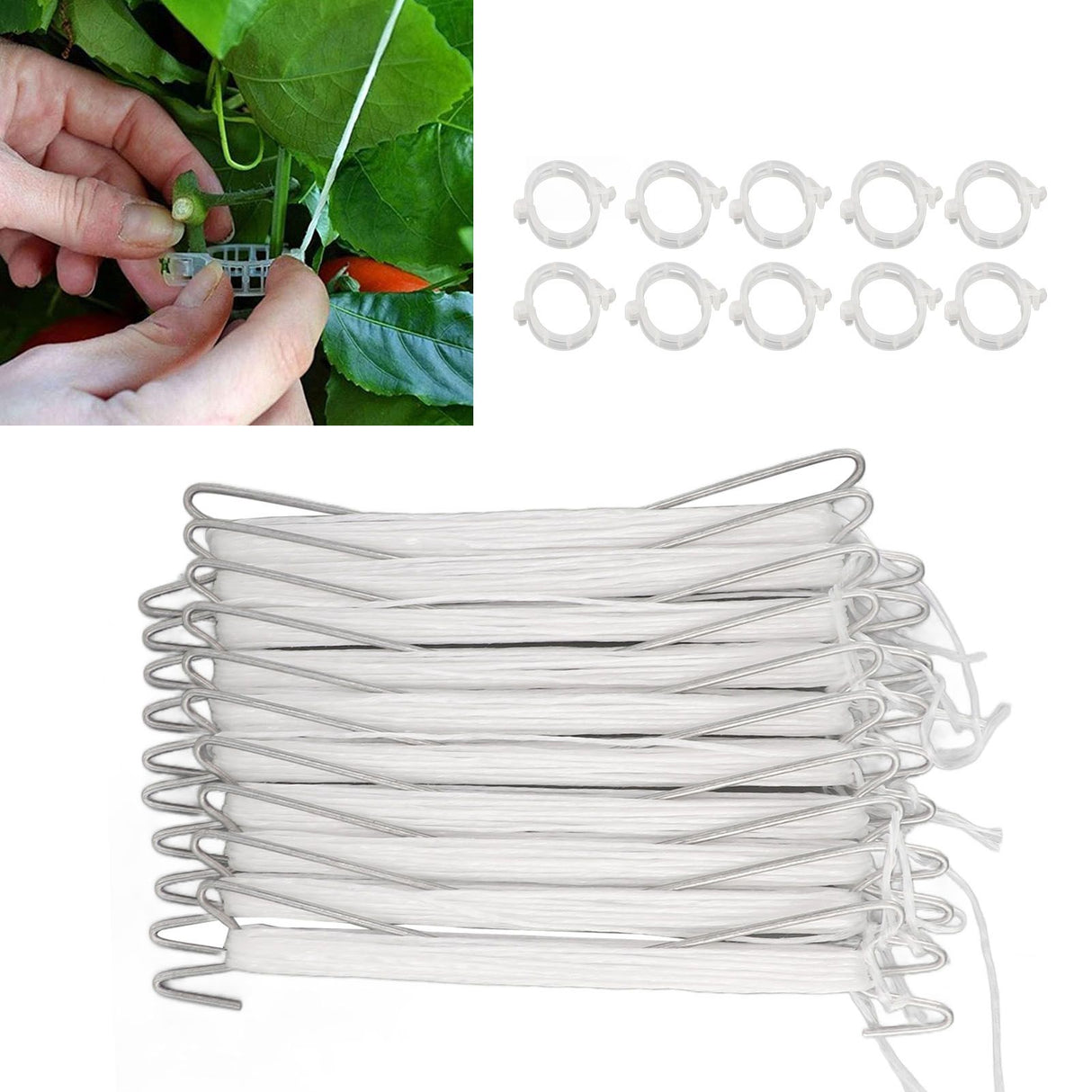10PCS Tomato Support Hooks with Twine Plant Climbing Clips Stainless Steel Easy Use Garden Hooks for Cucumber Cherry Vegetable