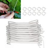 10PCS Tomato Support Hooks with Twine Plant Climbing Clips Stainless Steel Easy Use Garden Hooks for Cucumber Cherry Vegetable