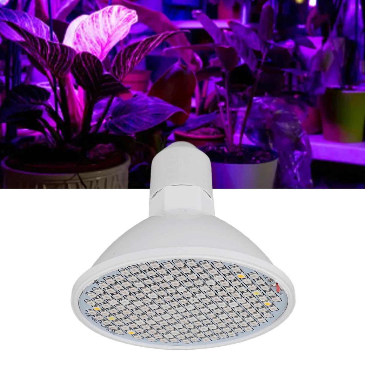 8W Indoor Plant Lamp Bulb 200 LED Heat Dissipation Full Spectrum Plant Grow Light Bulb for Home Greenhouse 110 to 220V