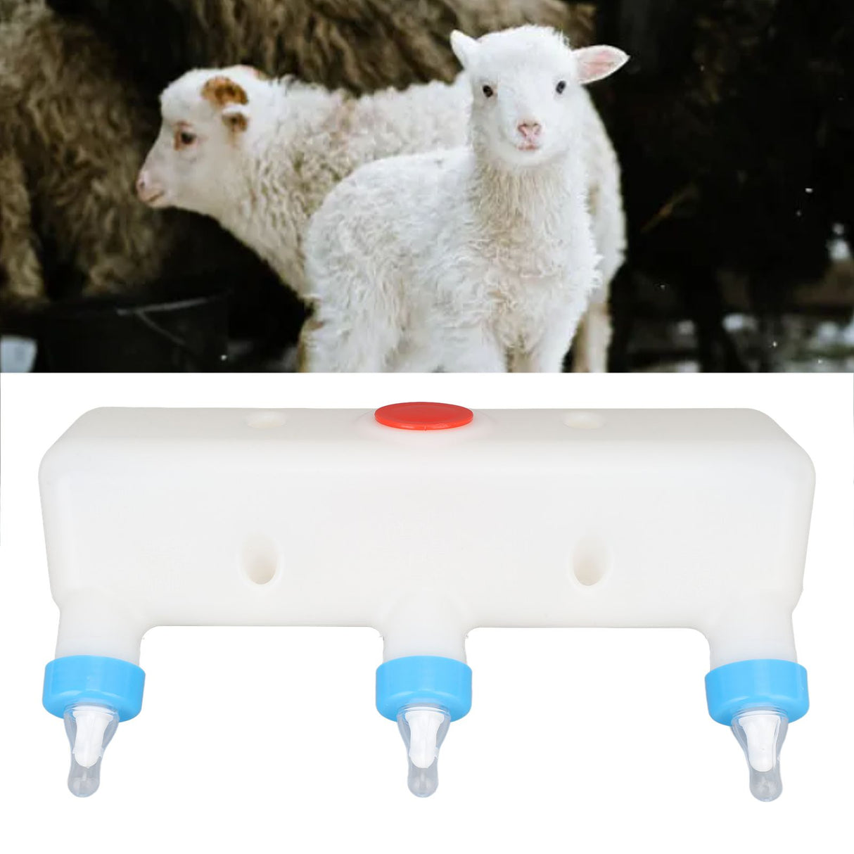 3 Pacifier Small Animal Milk Feeder Piglet Puppy Baby Lamp Goat Milk Feeder Farm Drinking Equipment