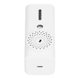 45ml Spraying Humidifier USB Charging Portable Negative Ion Air Purifier for Home Car