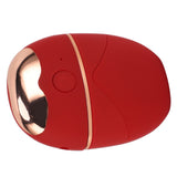 Eye Mist Sprayer 3 Gear Heated USB Rechargeable Eye Drops Atomization Moisturizing Facial Eye Steam Mister for Dry Eyes Eye Fatigue Relieve Red