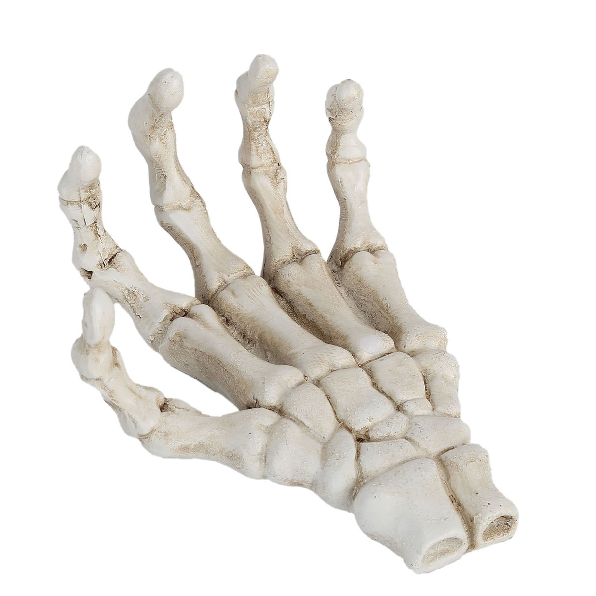 Halloween Skeleton Hands High Hardness Corrosion Resistance Light Weight Hand Bone Ornaments for Teaching Tool Bracket