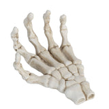 Halloween Skeleton Hands High Hardness Corrosion Resistance Light Weight Hand Bone Ornaments for Teaching Tool Bracket