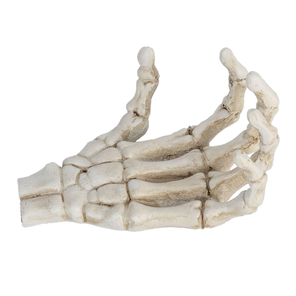 Halloween Skeleton Hands High Hardness Corrosion Resistance Light Weight Hand Bone Ornaments for Teaching Tool Bracket