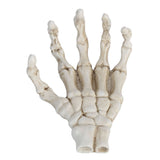 Halloween Skeleton Hands High Hardness Corrosion Resistance Light Weight Hand Bone Ornaments for Teaching Tool Bracket