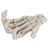 Halloween Skeleton Hands High Hardness Corrosion Resistance Light Weight Hand Bone Ornaments for Teaching Tool Bracket