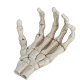 Halloween Skeleton Hands High Hardness Corrosion Resistance Light Weight Hand Bone Ornaments for Teaching Tool Bracket - Extra Image