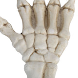 Halloween Skeleton Hands High Hardness Corrosion Resistance Light Weight Hand Bone Ornaments for Teaching Tool Bracket