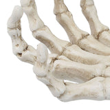 Halloween Skeleton Hands High Hardness Corrosion Resistance Light Weight Hand Bone Ornaments for Teaching Tool Bracket