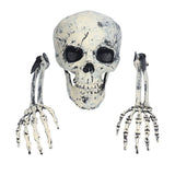 Skeleton Decor Cosplay DIY Multifunctional Lifelike Compact Scary Halloween Skeleton