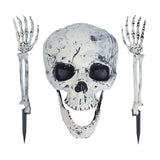 Skeleton Decor Cosplay DIY Multifunctional Lifelike Compact Scary Halloween Skeleton