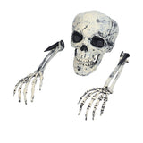Skeleton Decor Cosplay DIY Multifunctional Lifelike Compact Scary Halloween Skeleton