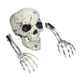Skeleton Decor Cosplay DIY Multifunctional Lifelike Compact Scary Halloween Skeleton