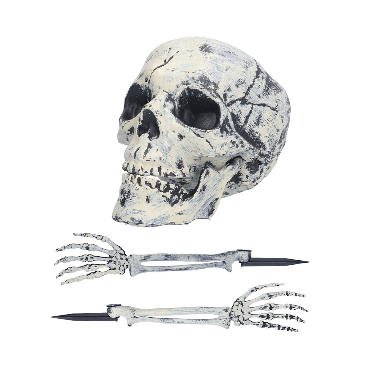 Skeleton Decor Cosplay DIY Multifunctional Lifelike Compact Scary Halloween Skeleton