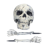 Skeleton Decor Cosplay DIY Multifunctional Lifelike Compact Scary Halloween Skeleton