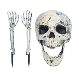 Skeleton Decor Cosplay DIY Multifunctional Lifelike Compact Scary Halloween Skeleton