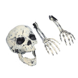 Skeleton Decor Cosplay DIY Multifunctional Lifelike Compact Scary Halloween Skeleton